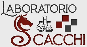 Laboratorio Scacchi